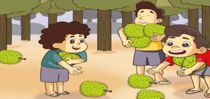 durian